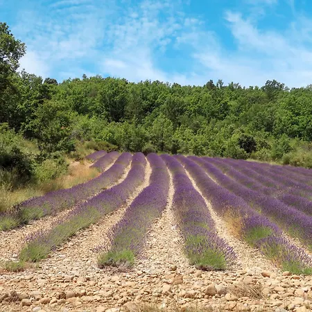 Le Prunier By Interhome