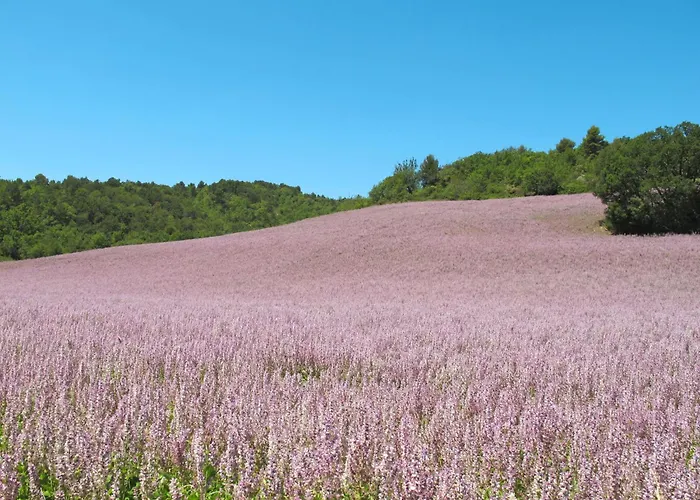 Le Prunier By Interhome