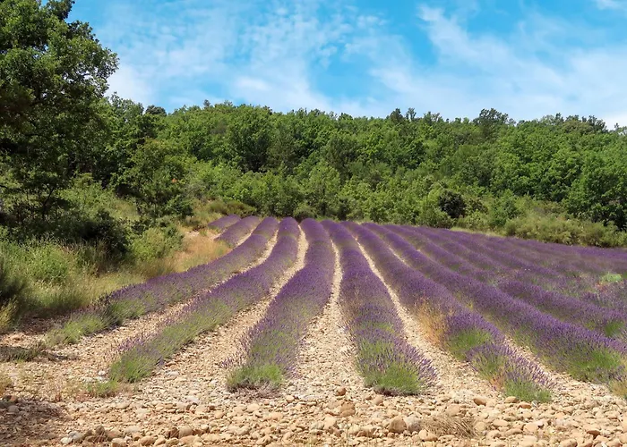 Le Prunier By Interhome